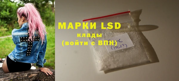 ГАЛЛЮЦИНОГЕННЫЕ ГРИБЫ Вяземский