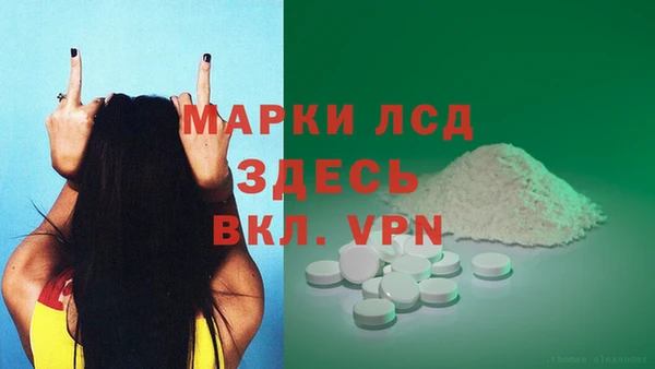 ГАЛЛЮЦИНОГЕННЫЕ ГРИБЫ Вяземский