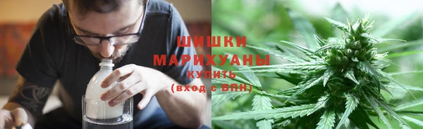 ГАЛЛЮЦИНОГЕННЫЕ ГРИБЫ Вяземский