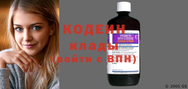 ГАЛЛЮЦИНОГЕННЫЕ ГРИБЫ Вяземский