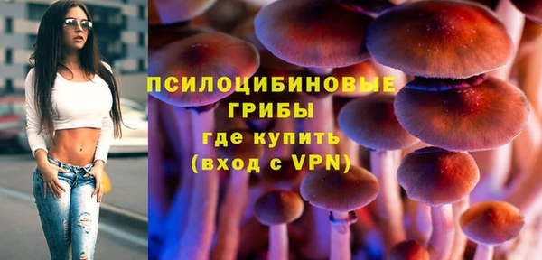 ГАЛЛЮЦИНОГЕННЫЕ ГРИБЫ Вяземский
