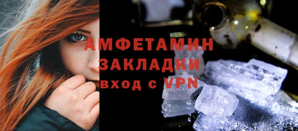 ГАЛЛЮЦИНОГЕННЫЕ ГРИБЫ Вяземский
