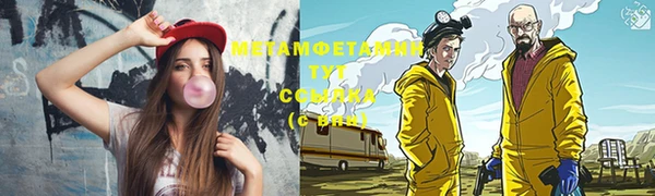 ГАЛЛЮЦИНОГЕННЫЕ ГРИБЫ Вяземский