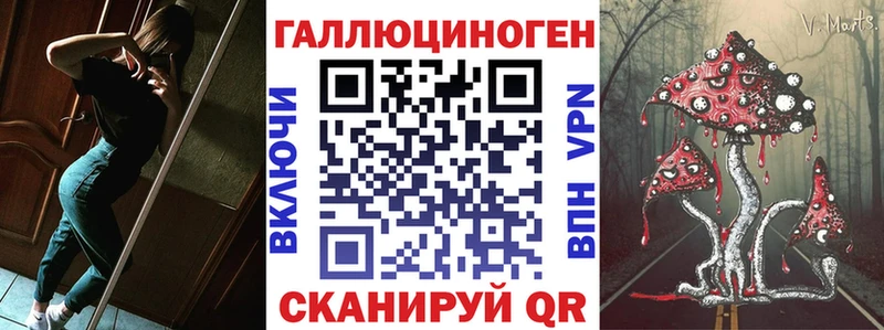 Псилоцибиновые грибы Psilocybe  Купить где  Электроугли 